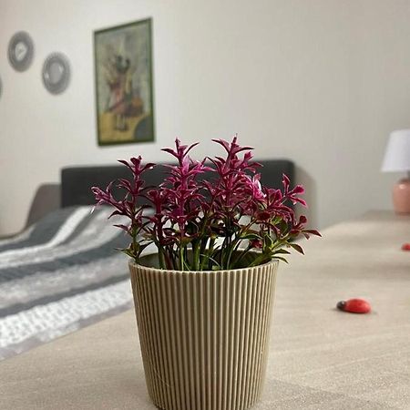 Cozy Apartment Ladybug, Sarajevo Exterior photo